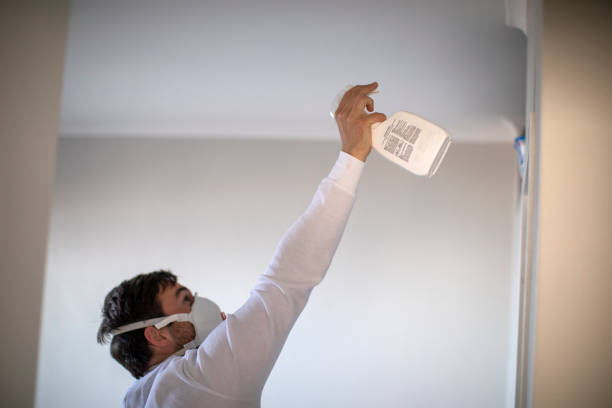 Best Emergency Mold Remediation in Palmyra, MO
