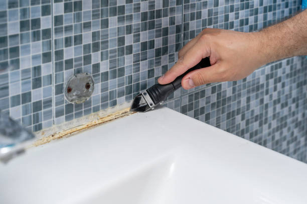 Best Mold Remediation for Schools in Palmyra, MO